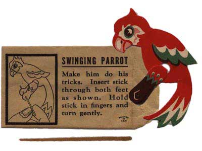 Swinging Parrot