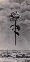 C. Carey Cloud - Painting - Spirit of the Rose